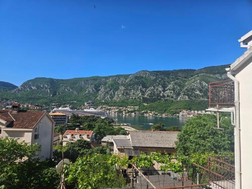 Žana - image 3