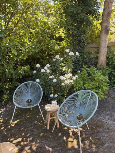 Garden, Blossom in Boschrand