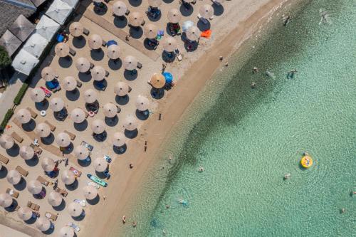 Camping Castello 2