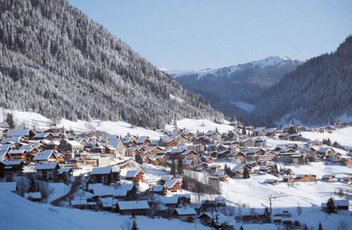Appartement Chatel Centre, Châtel (zdjęcie 8)