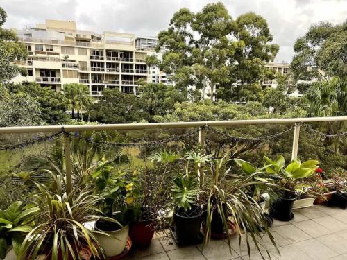 Spacious 2-bedroom apartment in Waterloo in Zetland