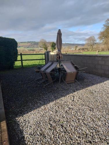 Hillview in Bagenalstown