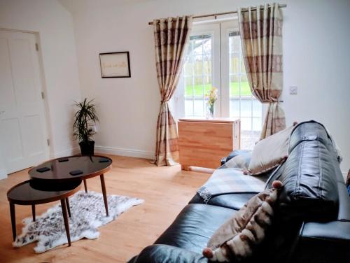 Hillview in Bagenalstown