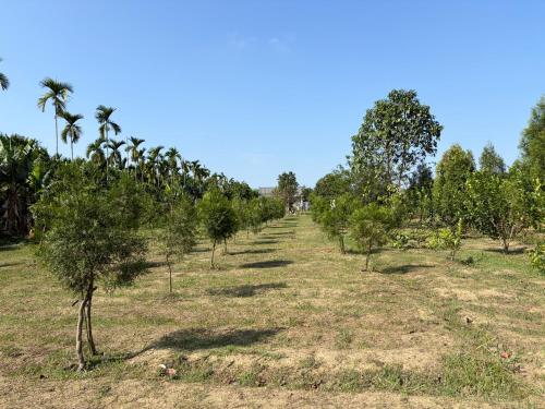 哲芷軒包棟養生莊園, Chaozhou (фото 10)