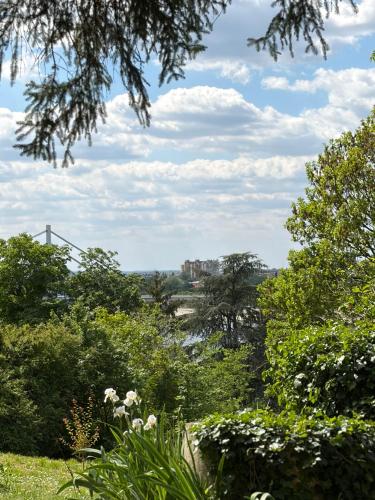 Ribnjak Plavi Dunav in Petrovaradin