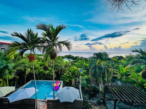 The Coconut Palm Villa ~ Ocean View Suite ll in โคโคนัทโกรฟ