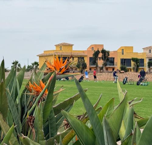 Kilátás, Casa Solete en exclusivo Resort Desert Springs Golf y piscina en Vera playa in Las Cunas