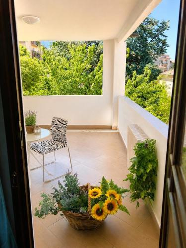 La Petite Maison 3
