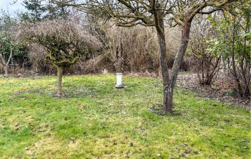 Viesnīcas āriene, Pet Friendly Home In Slagelse With Wifi in Lille Kongsmark