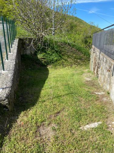 Dārzs, Coccodé (Coccode) in Casteldelci