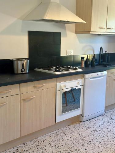Idyllic gite with private pool in Peyriac-Minervois
