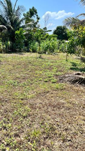 RaicesHouse a Cheerful 3 bedroom home in Belmopan