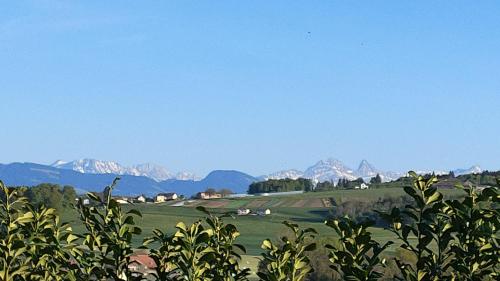 Ornithorynque in Noréaz, Schweiz