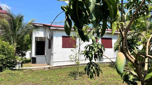 Vista/Panorama, RaicesHouse a Cheerful 3 bedroom home in Belmopan
