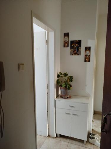 Montijo sharing apartment and personal room available overnight stay in มอนติโค
