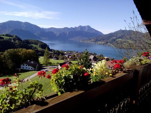 Biohof Schwanser in Steinbaha Atersē