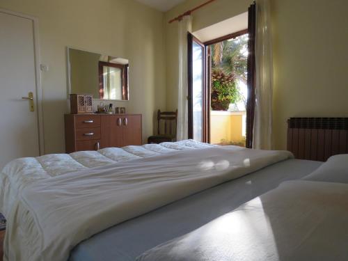 Apartments Palma Novalja in 諾瓦家