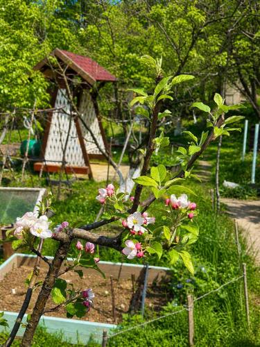 The Secret Garden House in Ijevan