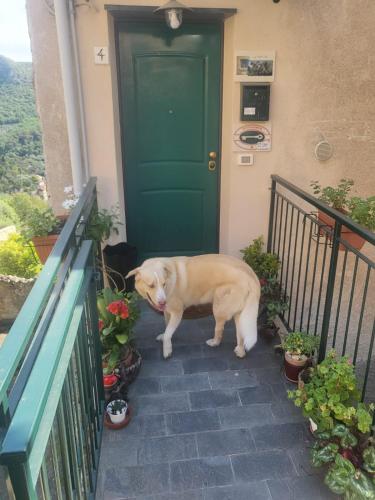 Cà degli Ulivi 3