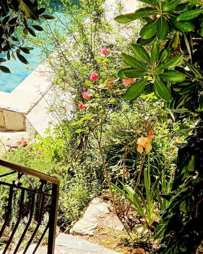 Viesnīcas āriene, Family Apartment With Ecological Pool In Corsica in Santo-Pietro-di-Tenda