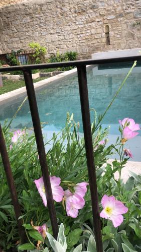 Mas de charme - T2 et chambres d'hôtes avec piscine & jardin - Chambre d'hôtes - Marsillargues