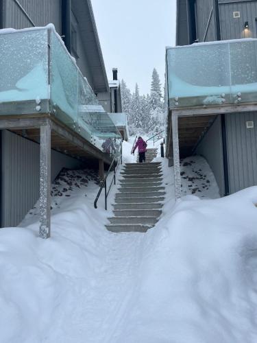 Newly built house for 8 persons, biking, hiking in Salen in Salen