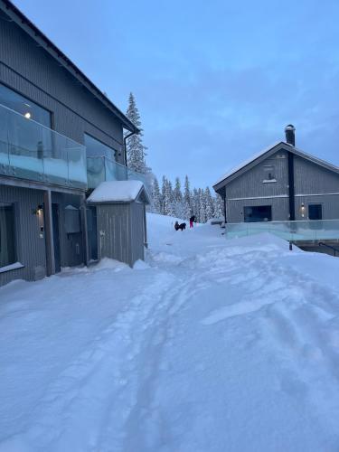 Newly built house for 8 persons, biking, hiking in Salen in Salen