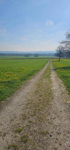 with a special charm in Berg (Baden-Wurttemberg)