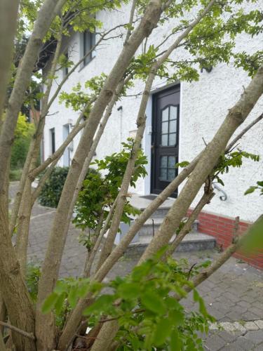 Burato`s Haus in 明登