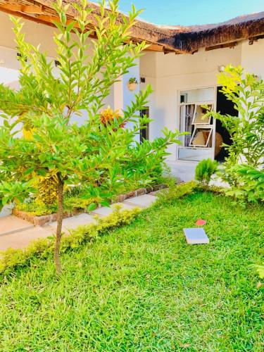 Marijan lodge  in Cape Maclear