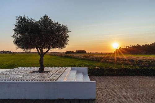 Quinta Da Comporta - Wellness Boutique Resort - image 12