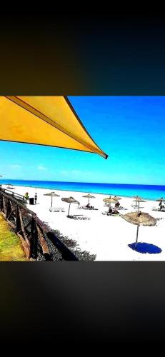 Studio en résidence avec plage privée piscine spa (Studio en residence avec plage privee piscine spa) in 查特馬里亞姆