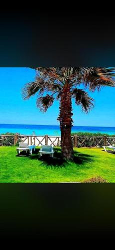 Studio en résidence avec plage privée piscine spa (Studio en residence avec plage privee piscine spa) in 查特馬里亞姆