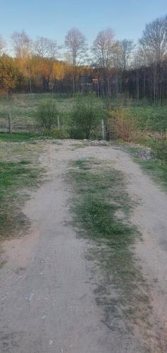 Village in Forest Camper Parking Space in Visaginas