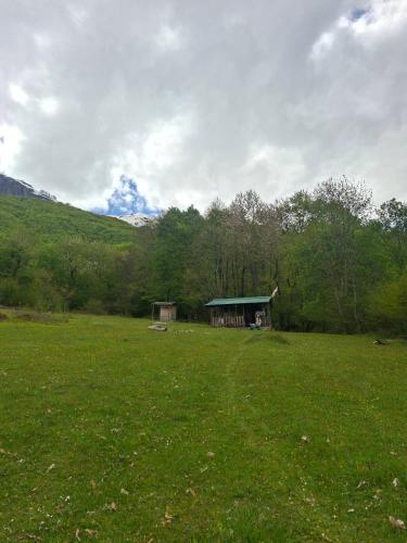 CASA Petra in Galicnik