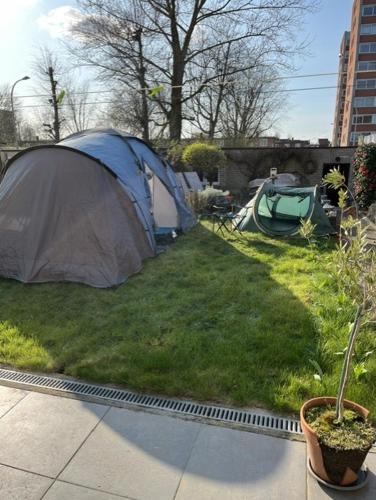 Groene tent voor 2 personen, 1 km van tomorrowland in Boom