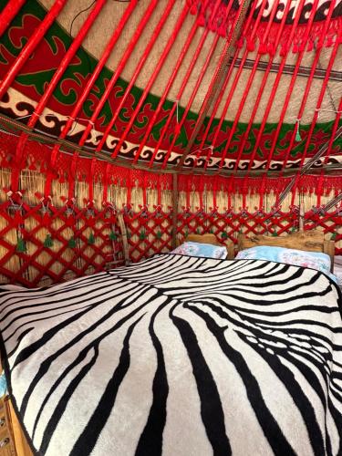 Azamat Nomad Camp in Tuz