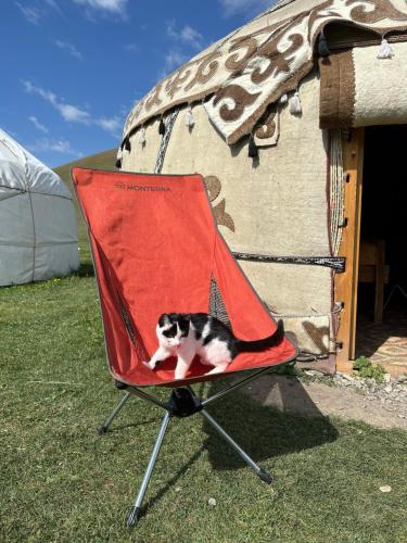 Azamat Nomad Camp in Tuz
