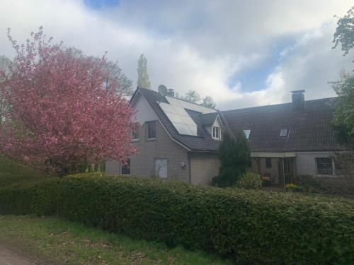 FeWo Naturblick mitten im schönen Cuxland Perfekt für Familien mit Hunden in Stinstedt, Deutschland