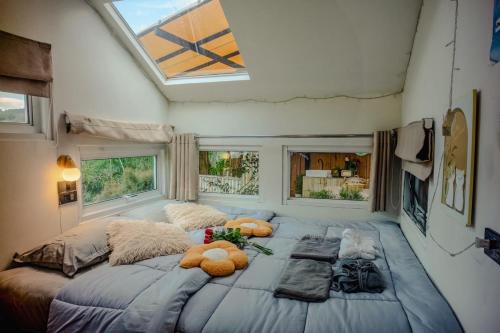 ห้องสวีท (Suite)