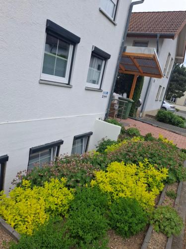 Lina's vacation home In Windhagen in Windhagen