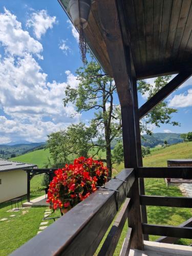 Complex Dealu'Frumos in Sita Buzăului