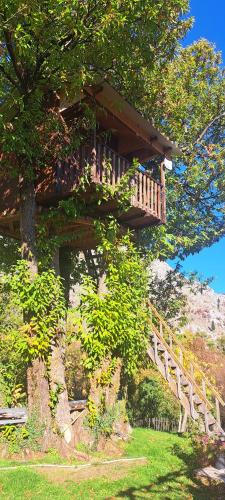 TreeHouse in Stari Bar