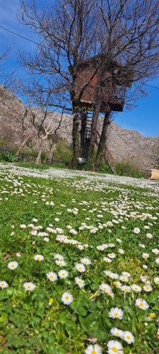 TreeHouse in Stari Bar