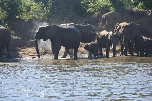 Gateway to the Lower Zambezi - Chirundu in Mafuta