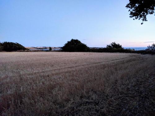  5 person holiday home in Millinge in Millinge