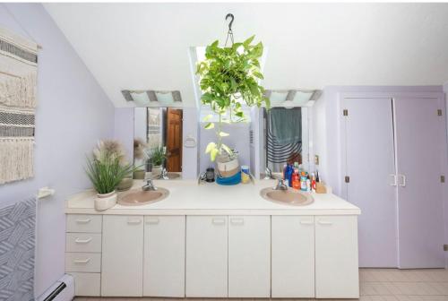 Clifford Luxury Retreat 3BR Self Check In Home in 惠廷斯維爾