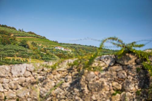 Agriturismo Casa Zen