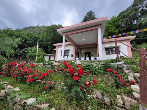 Pema Chojum Homestay Shergaon