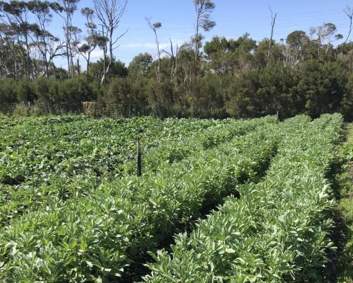 Farm Stay at Flock Stock & Basil in Tarwin Lower